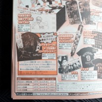 ハイキュー玉虫塗