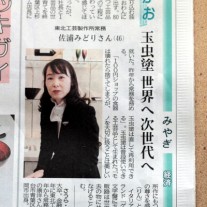 河北新報 Eかお 玉虫塗