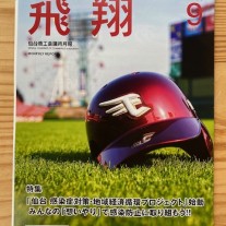 仙台商工会議所　楽天イーグルス　玉虫塗ヘルメット